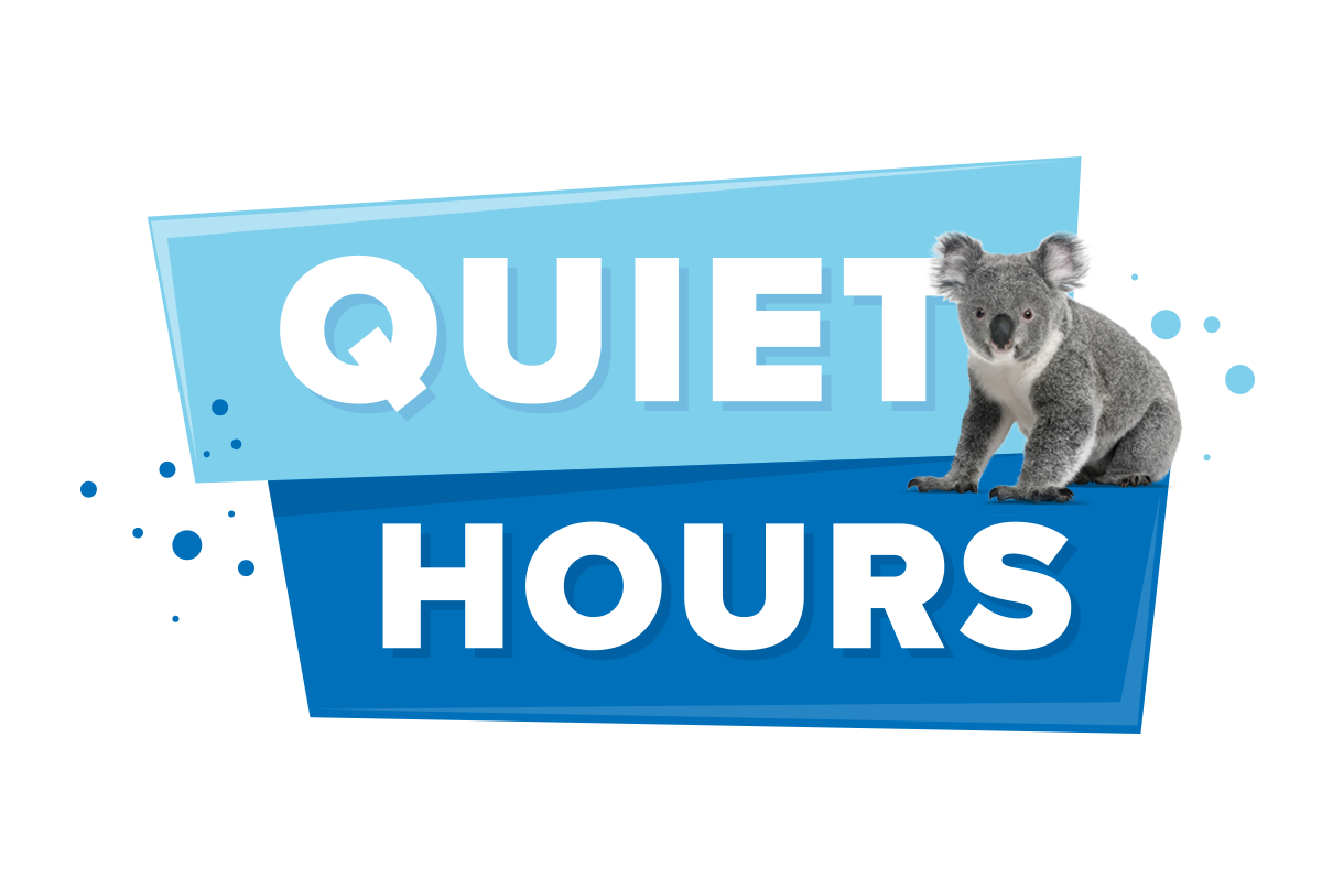 quiet hours text with a koala