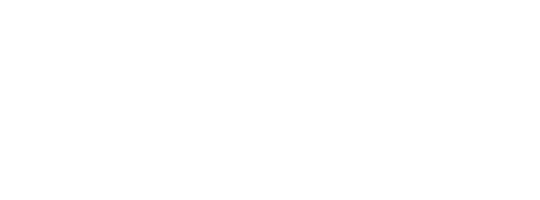 Columbus Zoo and Aquarium Zoofari A Wild Celebration for Conservation