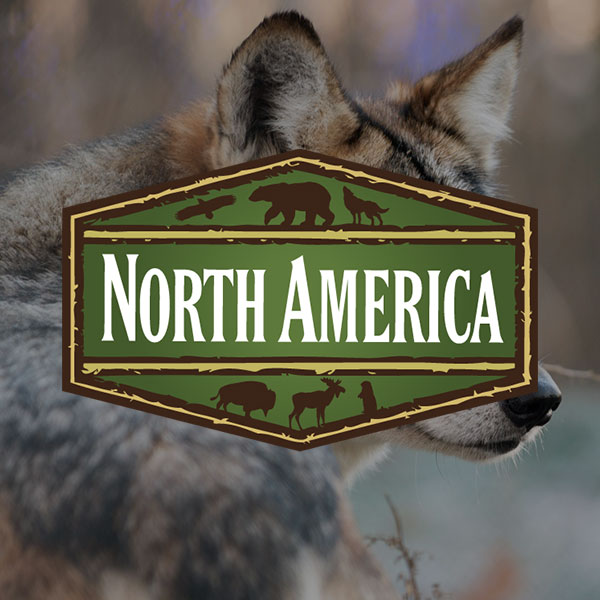 North America