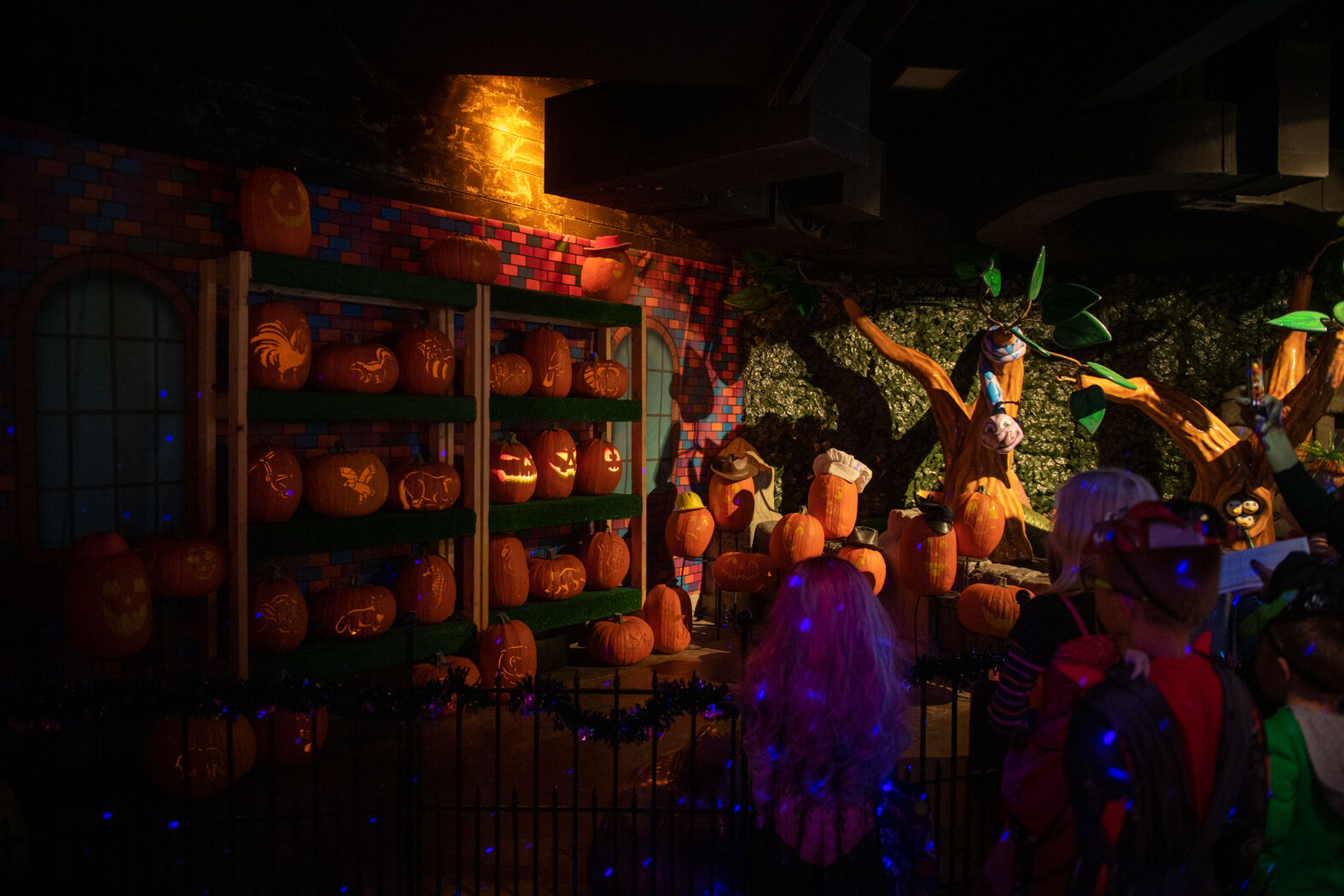 People looking at Jock o Lanterns