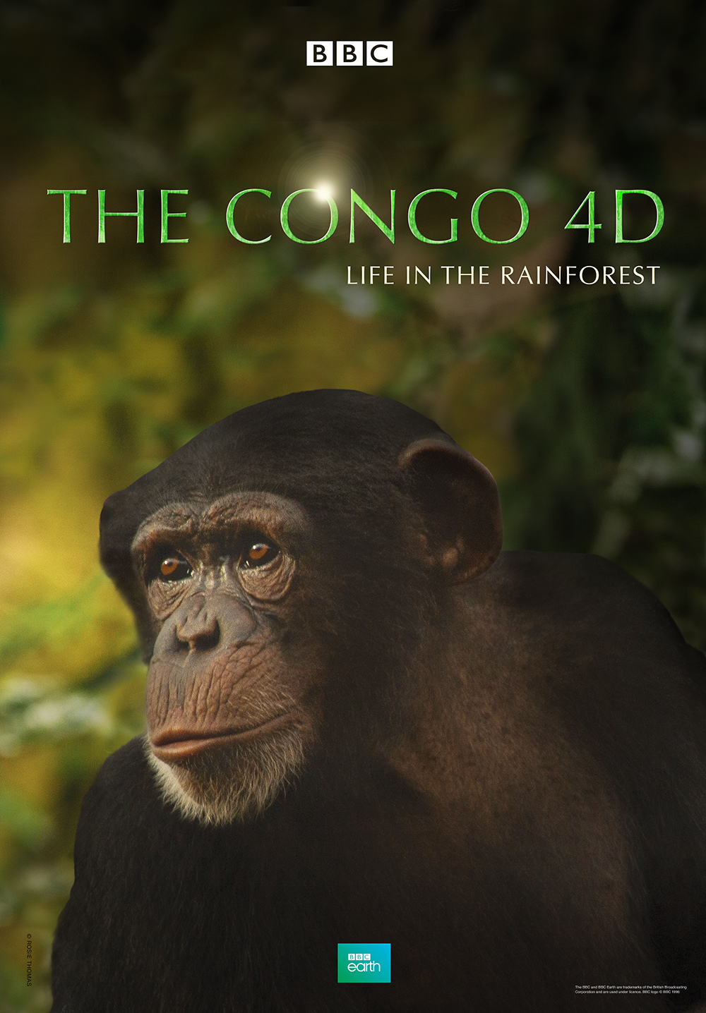 Congo movie poster