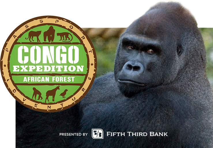 Congo Expedition logo with Gorilla - presented by Fifth Third Bank