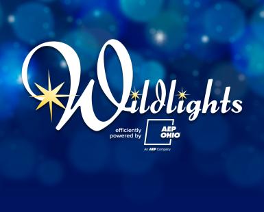Wildlights efficiently powered by AEP Ohio Member Night on blue