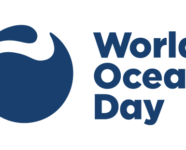 Navy blue logo with a very spherical wave with text, "World Oceans Day"