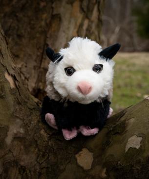 Adopt plush opossum