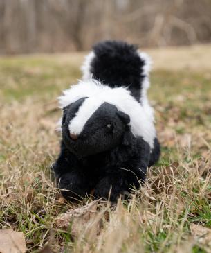 Adopt plush skunk