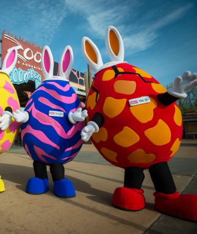 Up-close of all four Egg Characters in a line-up