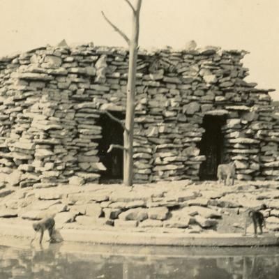 Monkey Island, Carl Evans, Columbus Zoo and Aquarium