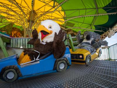 Safari Stampede