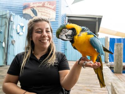 Zookeeper holding a macaw in their hand
