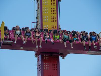 Falcon Fall