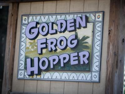 Golden Frog Hopper
