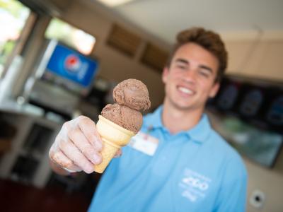 Ice cream