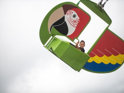 Mission Macaw