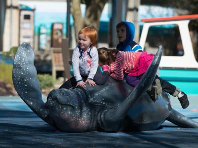 Shores Play Park