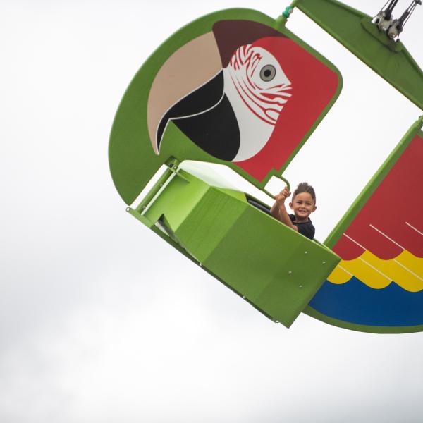 Mission Macaw
