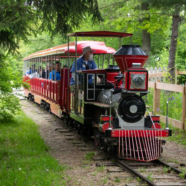 North America Train