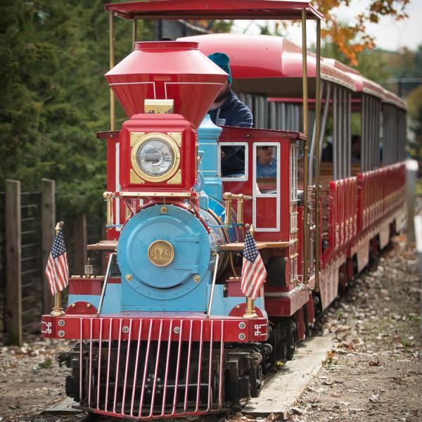 Red and blue train with a team member operating the train
