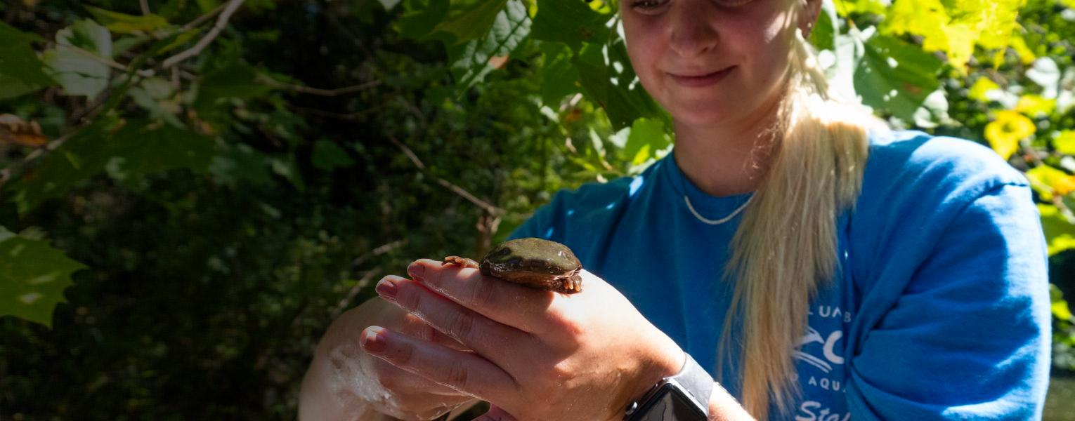 Hellbender release
